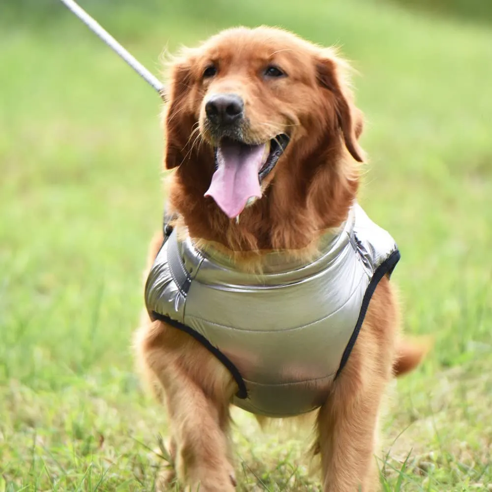 Aiitle Waterproof Winter Warm Dog Harness Jacket