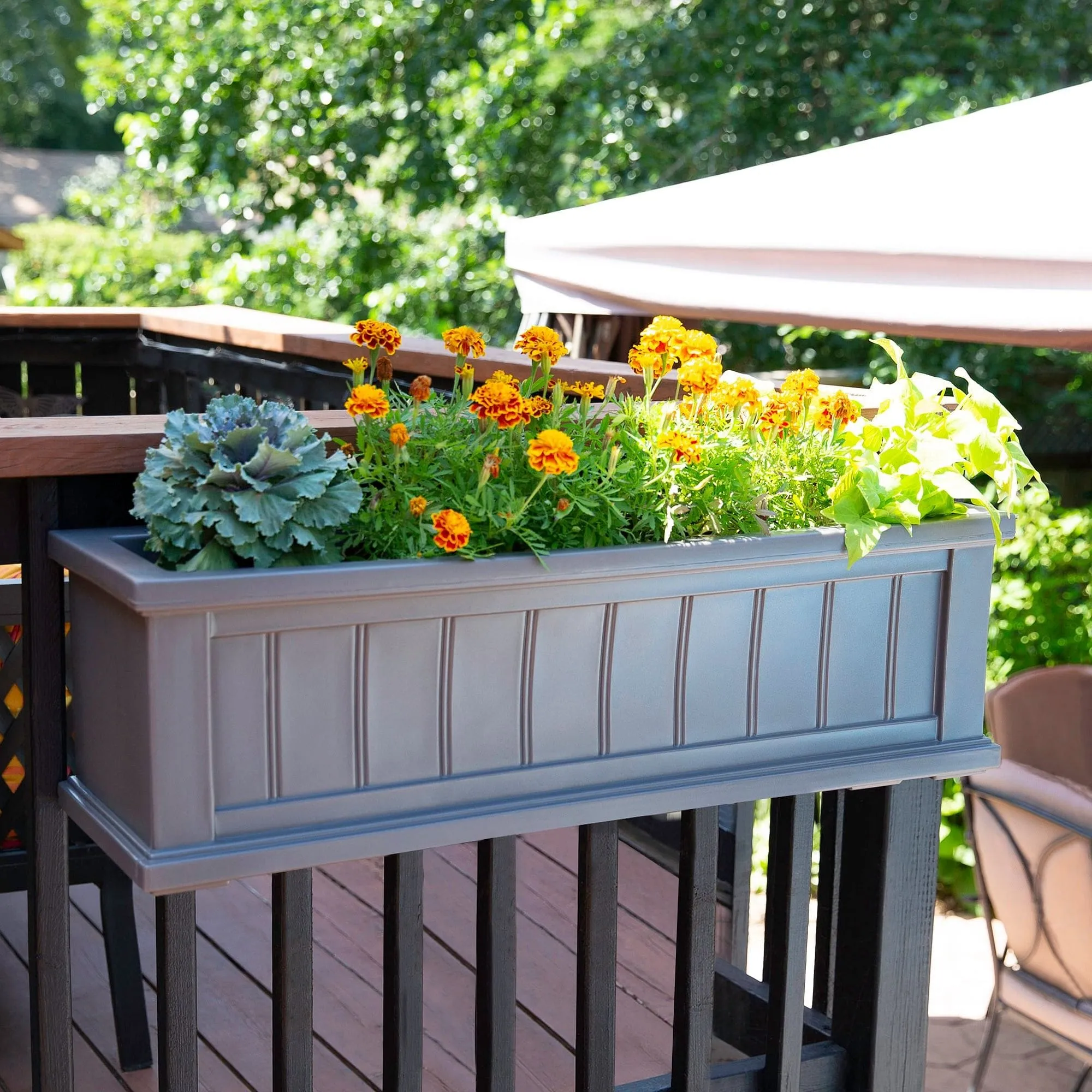 Mayne Cape Cod 3ft Window Box