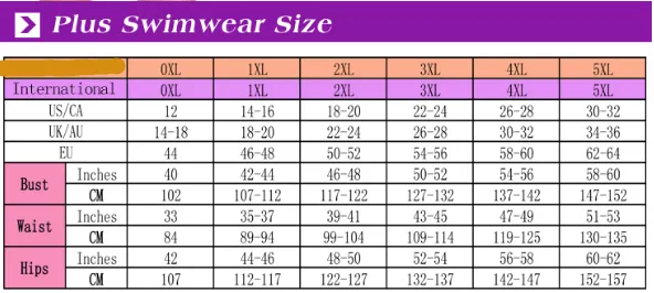 Womens Plus Size High Waist Bikini Swimsuit Leopard Print